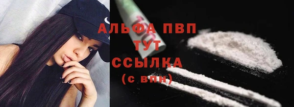 прущая мука Вяземский