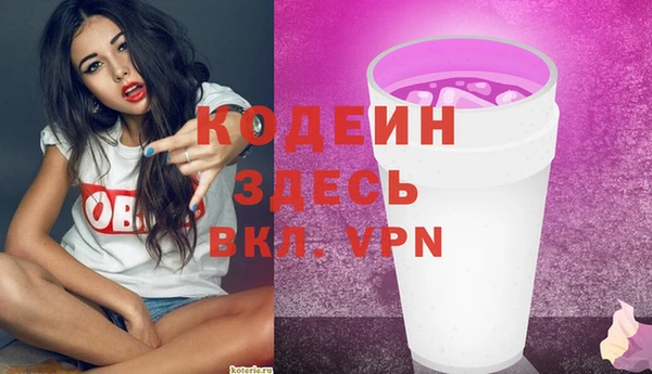 прущая мука Вяземский