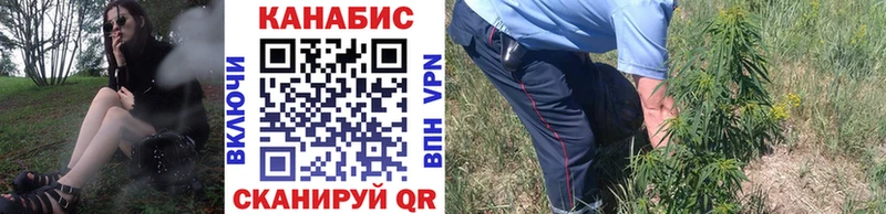 Бошки Шишки гибрид  Ахтырский 